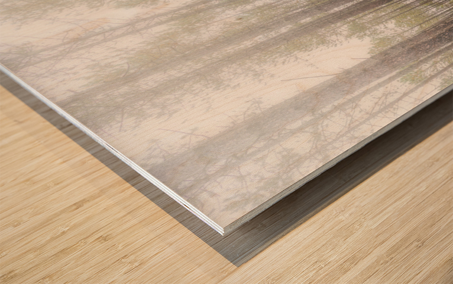 Morning mist near Lutsen Wood print