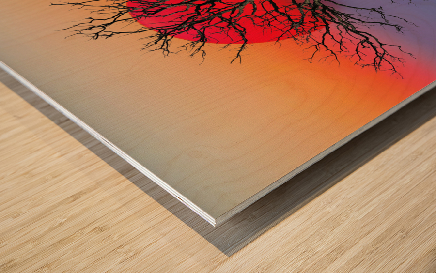 Sun is up  Wood print