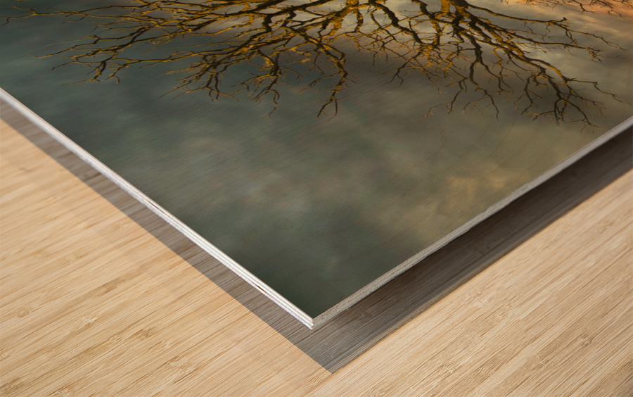 The eagle has landed Wood print