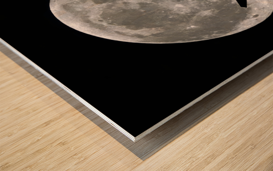 Planet moon Wood print