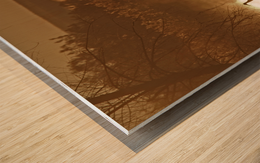 Sandhill crane migration Wood print