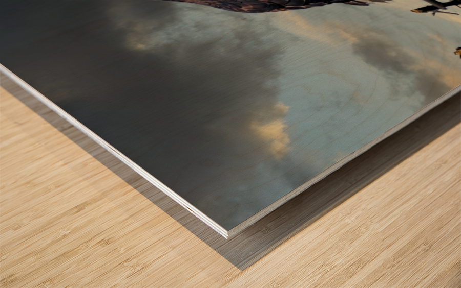 Eagle on nest Wood print