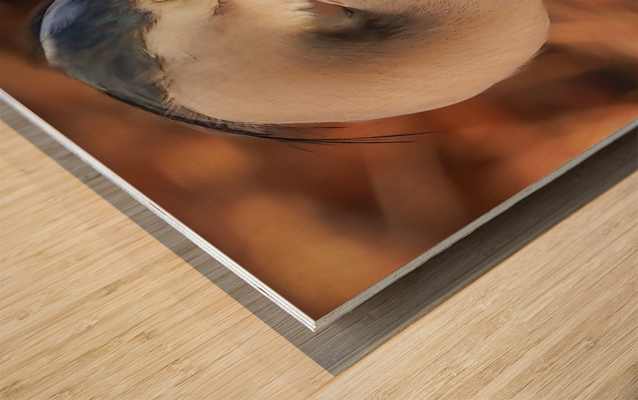 Great blue heron Wood print