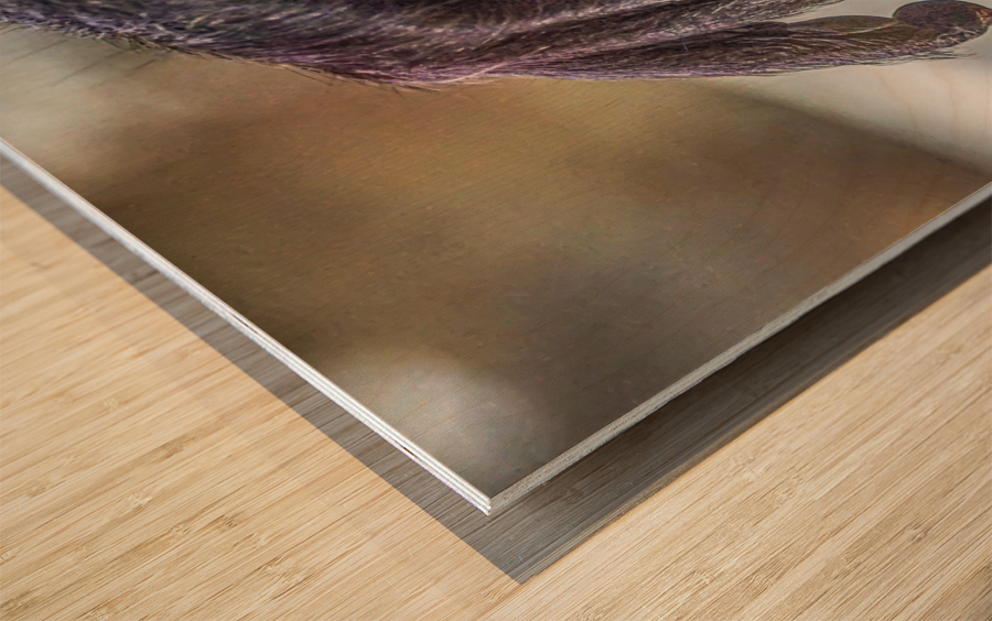 See no Evil   Wood print