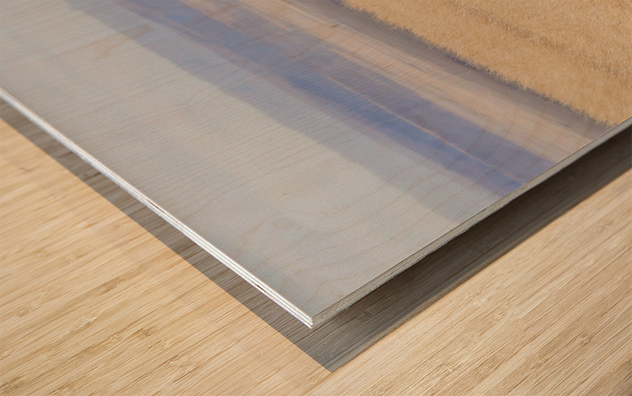 Bighorns in the Badlands Wood print