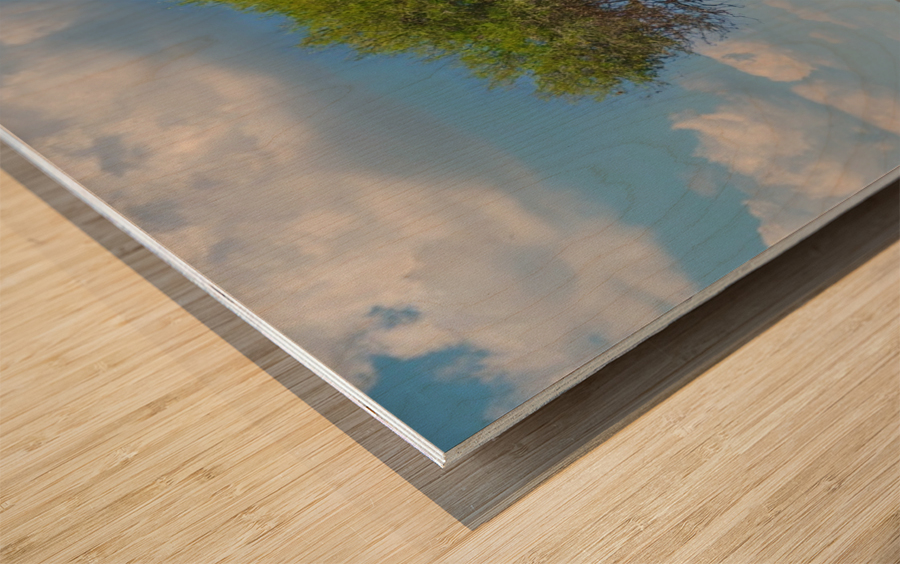 Giraffes under umbrella Wood print