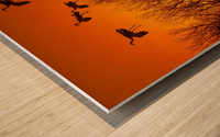 Dawn patrol over the Platte Wood print