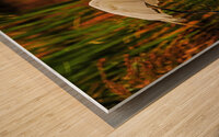 Egret in Flight Wood print