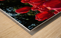 Red tulip parade  Wood print