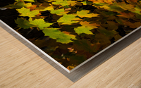 Fall Colors Wood print