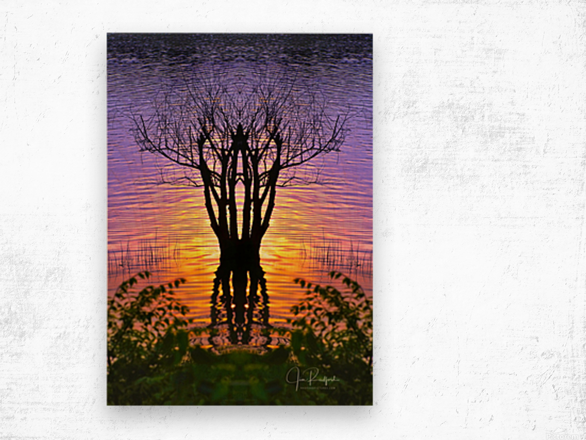 Lakeside sun on tree Wood print