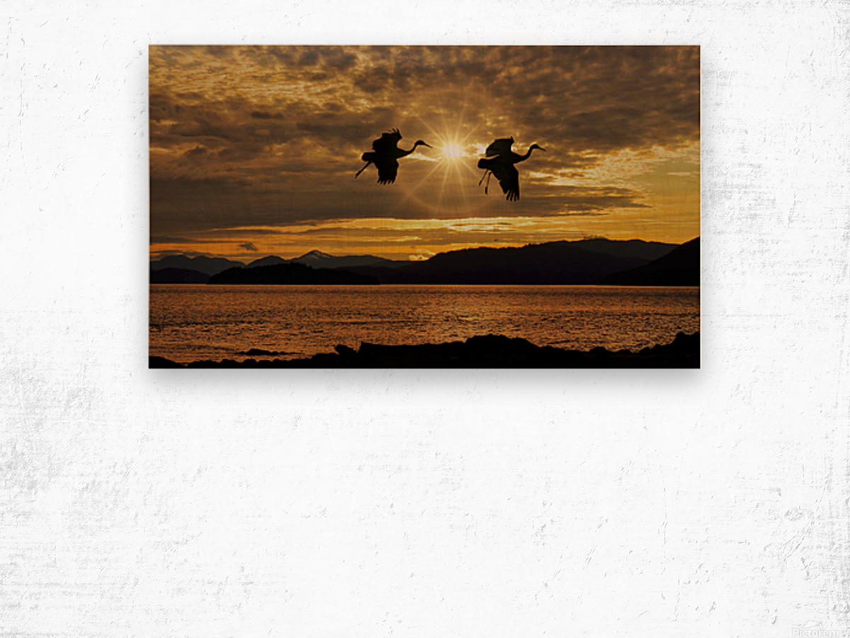 Sandhill cranes over Alaska Wood print
