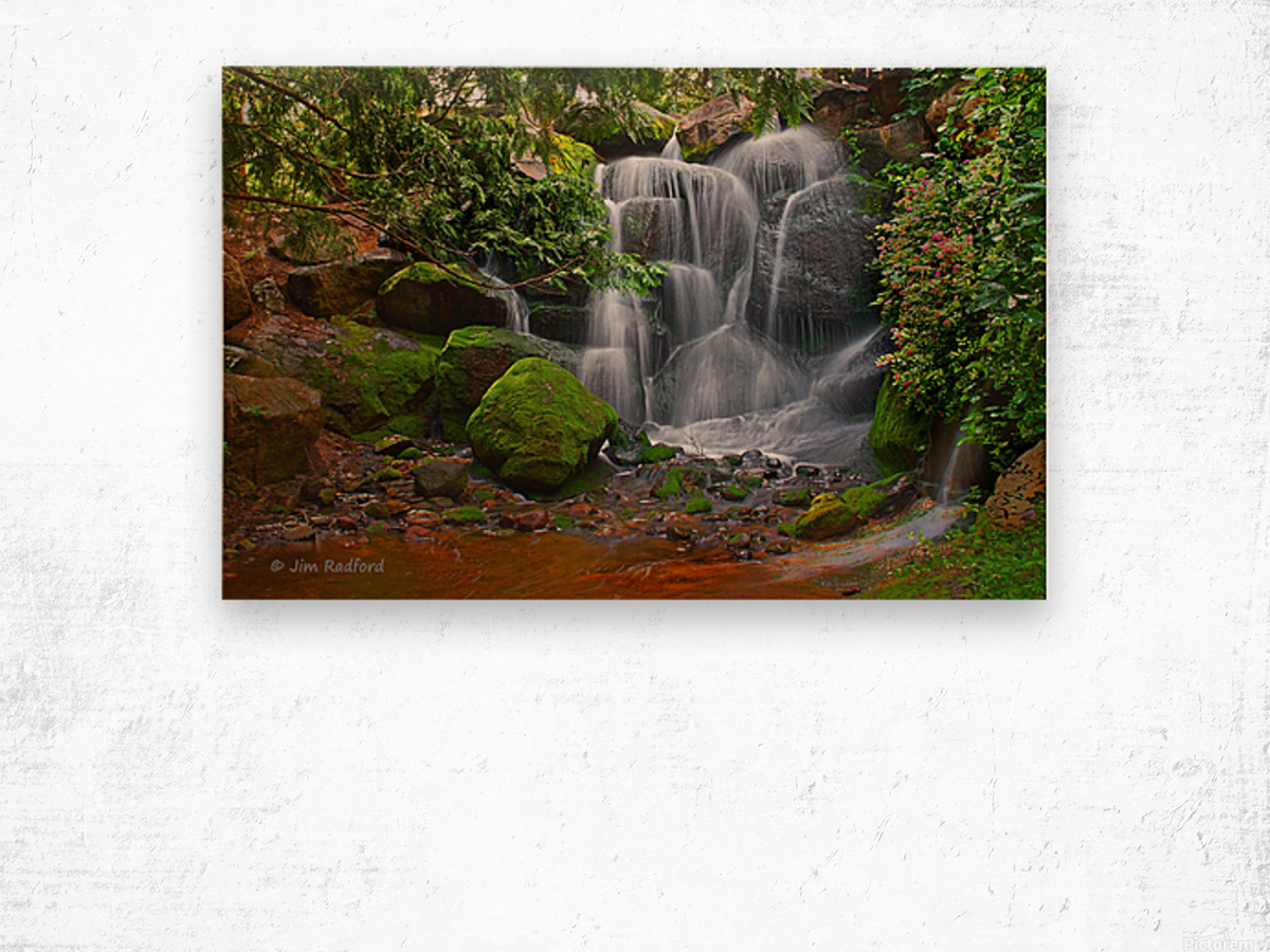  Arboretum Falls Wood print